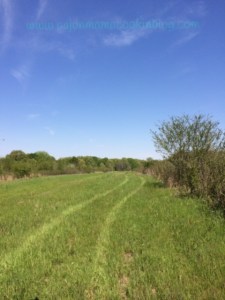 Watermarked Photo(18)