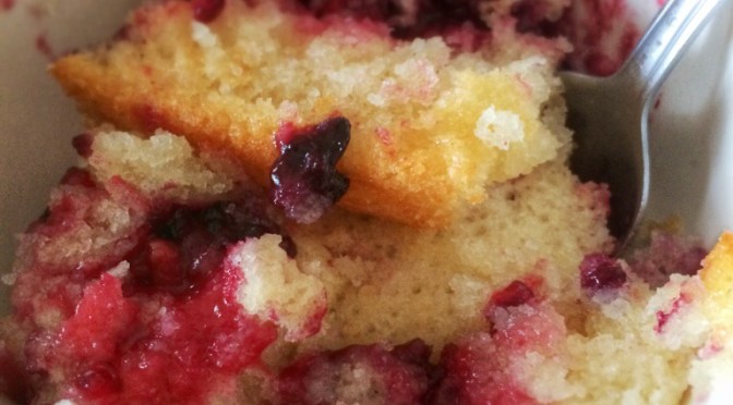 Berry picking and a dang good cobbler