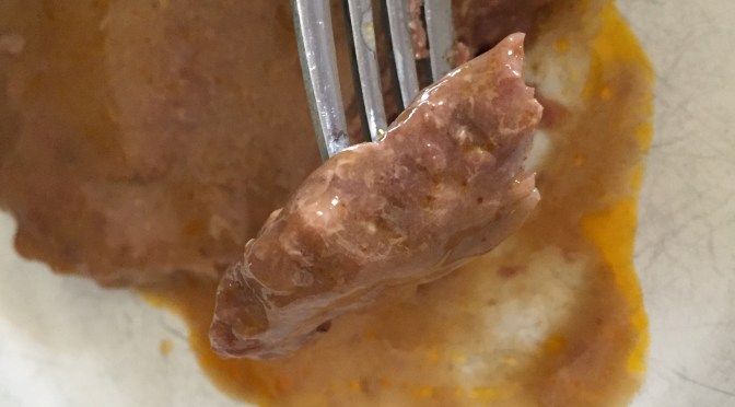 Super easy crockpot Skillet steak and gravy and the upside to being iced in 